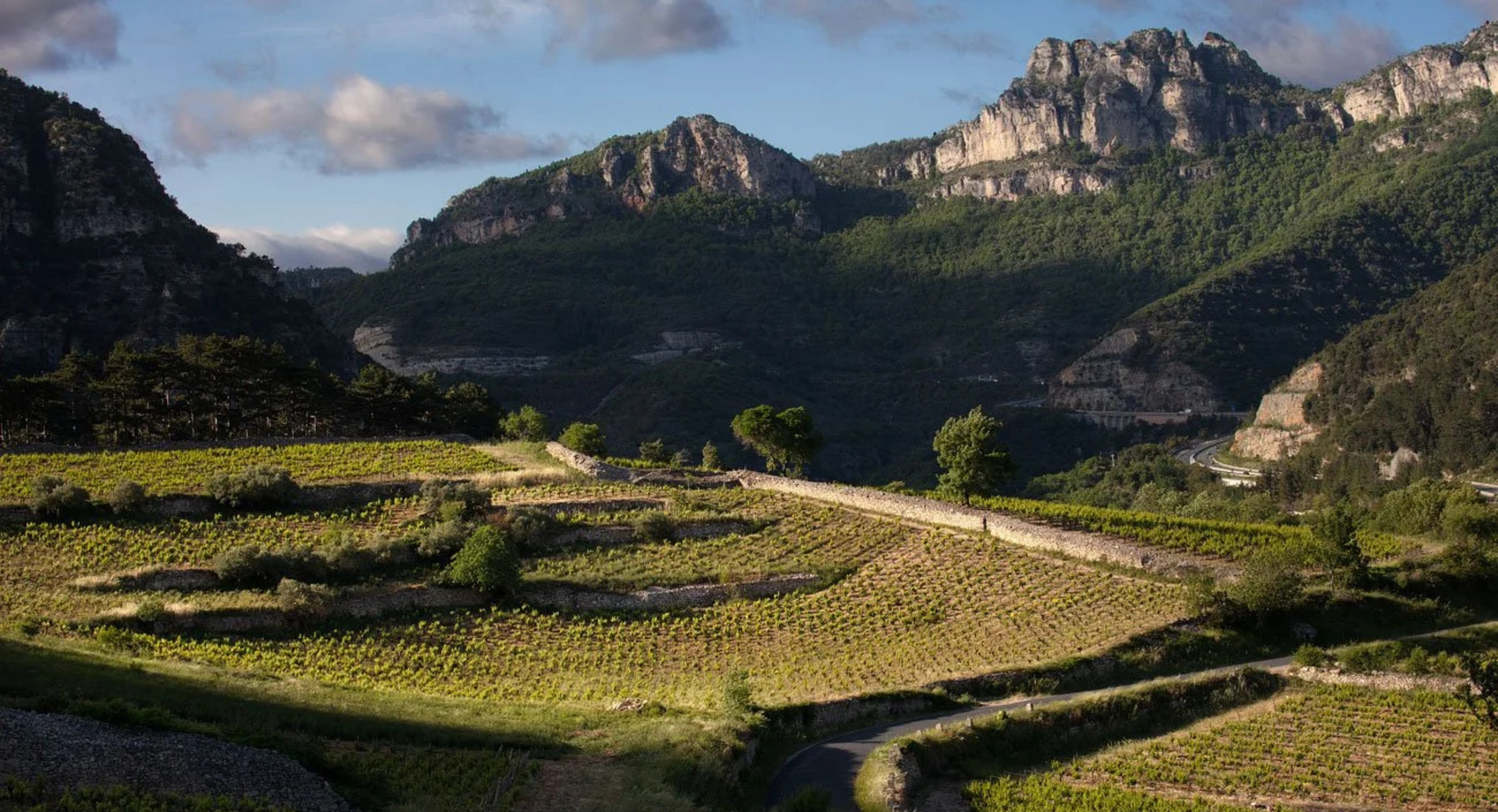 Domaine du Pas de L'Escalette